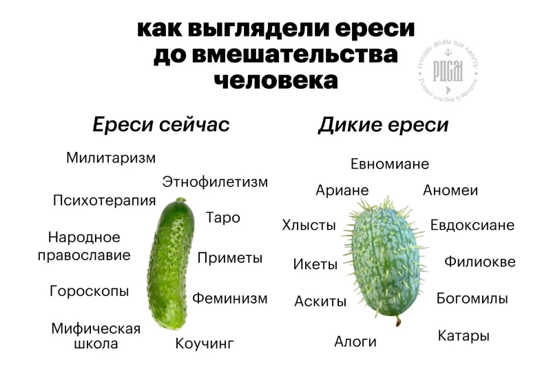 Все мемы украдены с телеграм-канала «РЦСМ: Русская цивилизация в схемах и мемах» Все мемы украдены с телеграм-канала «РЦСМ: Русская цивилизация в схемах и мемах»