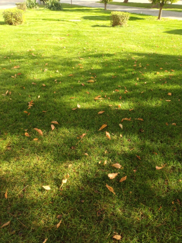 !🍂! !🍂!
