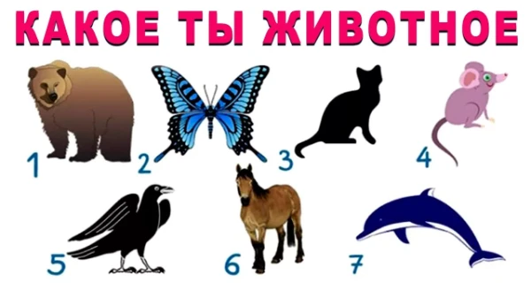 Узнайте кем бы вы были в мире животных Волк,Сова,Крыса,Лис(а), Заяц