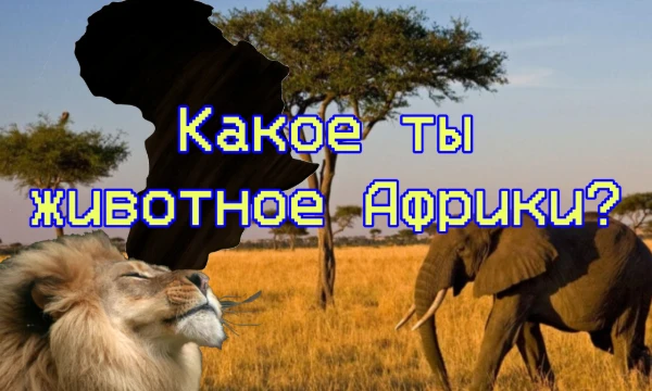 Африка — это удивительный континент, который может похвастаться разнообразием флоры и фауны. В этом тесте ты узнаешь, какое животное с этого континента больше похоже на тебя!