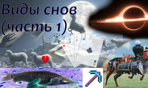 Сны бывают очень разными, странными, заставляющие рефлексировать, обычными, и у каждого свой набор. Свойства, подтипы определяются свойствами мозга, восприятия, жизненным опытом. Это очень личное, да?