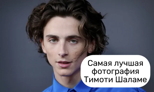 Тимоти Шаламе умеет быть разным — загадочным, нежным, дерзким. Мы подготовили подборку кадров, где он как всегда — совершенство. Голосуй за тот снимок, который передает настоящий шарм Тимоти.