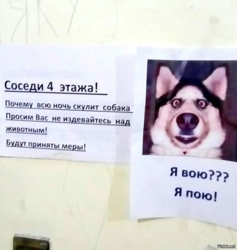 Топ худших и бесящих соседей Топ худших и бесящих соседей