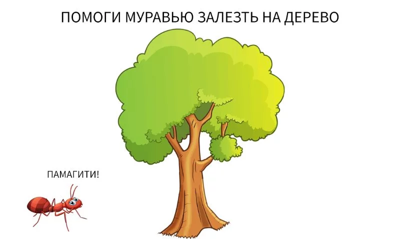 Иду побеждать на конкурсе! Иду побеждать на конкурсе!
