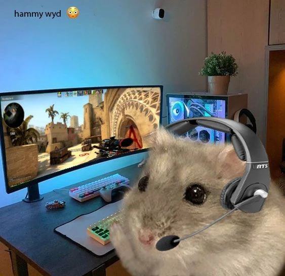 Это я, Алина подтвердит Это я, Алина подтвердит