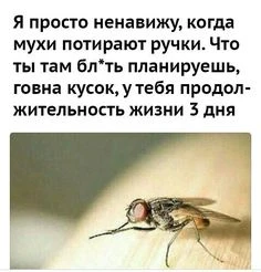 Хотеть-не вредно Хотеть-не вредно