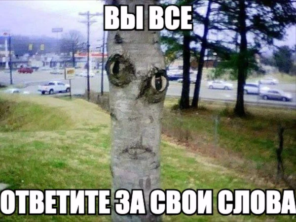 Я уже провел