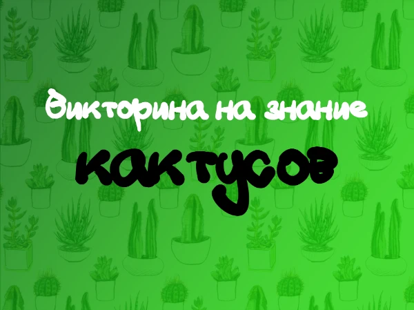 Разнообразные вопросы, в которых вам нужно указать: является ли этот факт правдой или это ФЭЙК. Приятного прохождения! =)