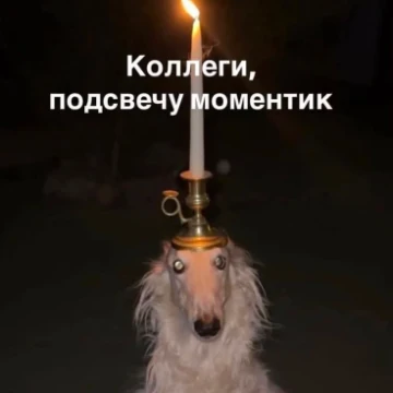Тильт или кринж? Чилл или свага? Терпение и труд или всё перетрут? Зумеры или нормальные люди? К какому бы типу вы себя не отнесли, этот тест для вас!