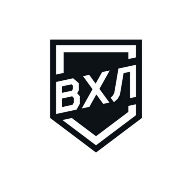Предлагаю выбрать лучшую команду Всероссийской хоккейной лиги из ныне участвующих