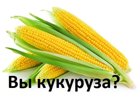 Являетесь ли вы кукурузой или тварь дрожащая?