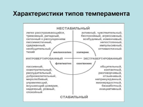 Темперамент — это одна из ключевых составляющих человеческой личности, которая определяет не только поведение и эмоциональные реакции, но и способы взаимодействия с окружающим миром. 