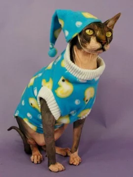 Кошки