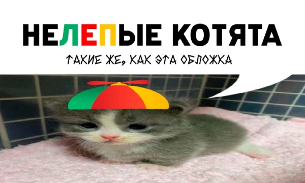 Однажды автор целый вечер смеялся с фотокарточки нелепого котёнка, так и родилась идея для этого теста. Приятного нелепого прохождения! :з