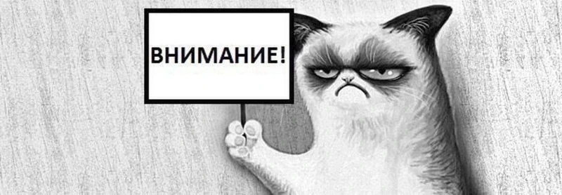Создал игру Создал игру