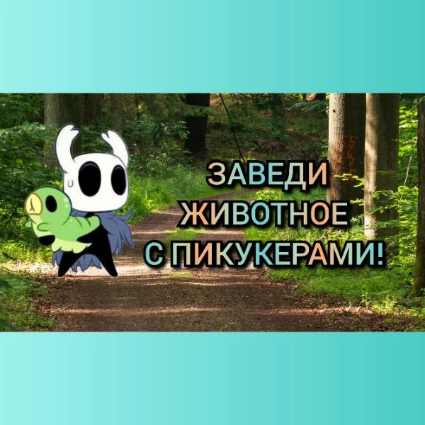 Я опросил пользователей Pikuco, каких животных они хотели бы себе завести. Представляю вам подборку из 32 вариантов выбора. 