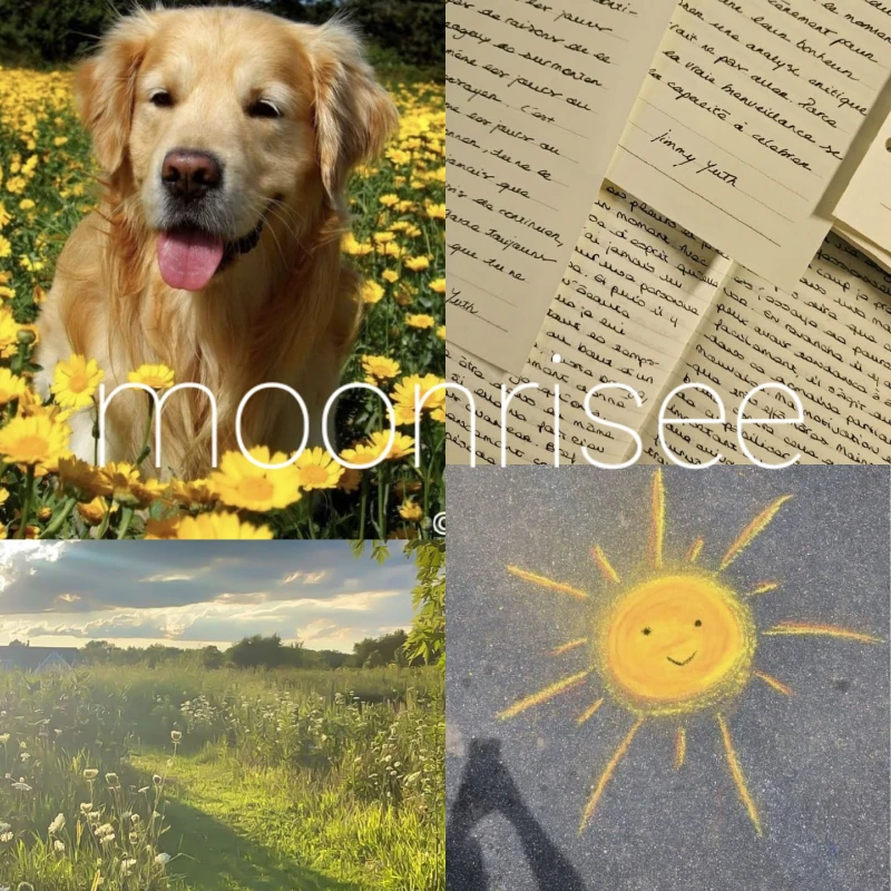 6. moonrisee 6. moonrisee