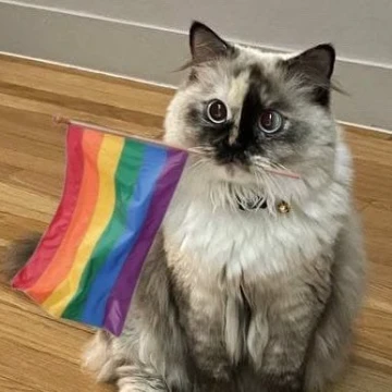Не знаешь свою ореинтацию? Пройди этот тест и поймёшь! 🏳🌈