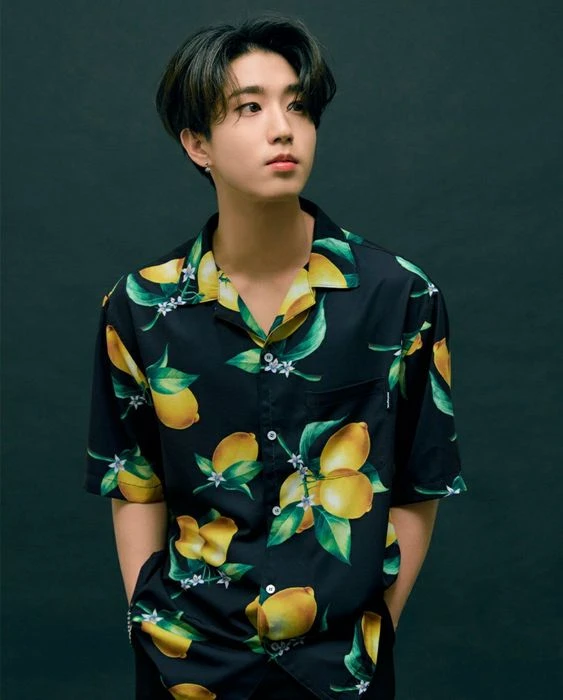 Джисон (Stray Kids) Джисон (Stray Kids)