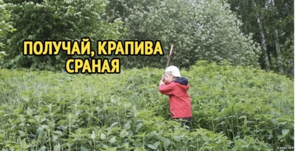 ностальгия девства 
жыза, 