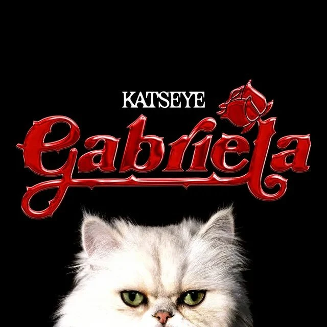 обложка песни Katseye-Gabriela обложка песни Katseye-Gabriela