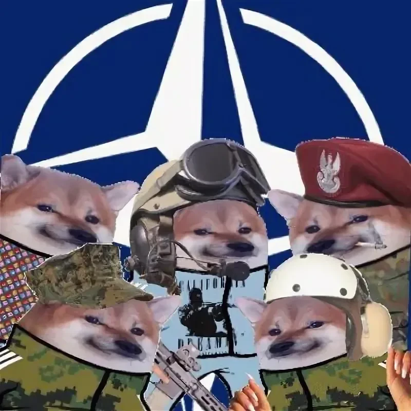 Неоднозначная хрень #12 Неоднозначная хрень #12