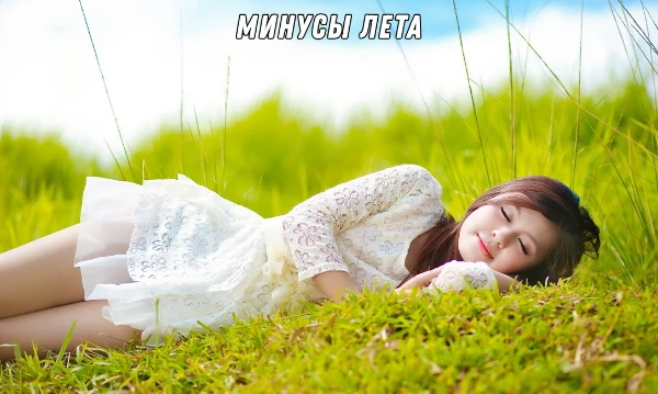 Главный минус лета, несмотря на то, что данное время года считается у многих любимым и самым ожидаемым.