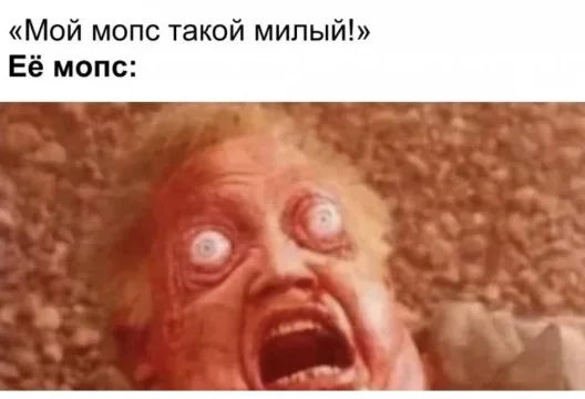 Мне никто не передавал, но кто мне указ? Никто! Поэтому я сделал этот тест. Удачи и погнали!                                  