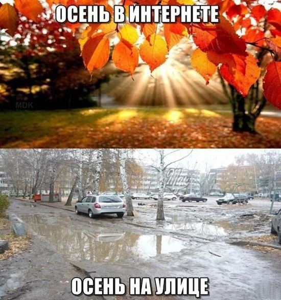 Есть такое Есть такое