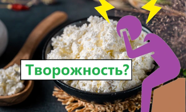Насколько ты творожный человек? Высокий уровень сильно влияет на качество жизни и даже, как в организме всё связано, психика влияет на пищеварение. Важное уточнение: тест содержит лактозу!