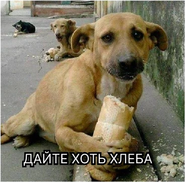 Здесь все лучшие треки чуваков эры хип-хопа, определи какой трек круче всех и получи АЙФОН! ПРОХОДИТЬ СО ВКЛЮЧЕНЫМ ВПН