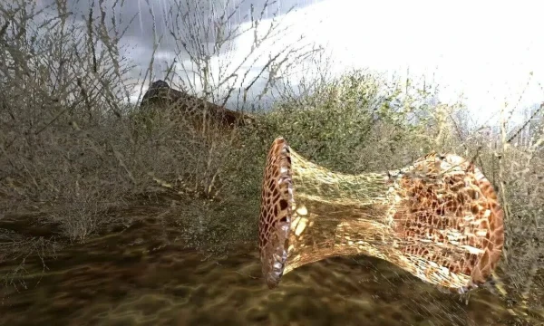 Артефакты - довольно редкая штука порождаемая аномалиями , но если найти такую можно неплохо заработать, собственно заработать это главное желание многих сталкеров , так что выберите лучший артефакт!