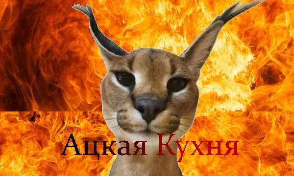 Ты - 1 из тех победивших в конкурсе, едешь на шоу "Ацкая кухня" со своим билетом. Сможешь ли ты получить титул "Хороших пельменей"?