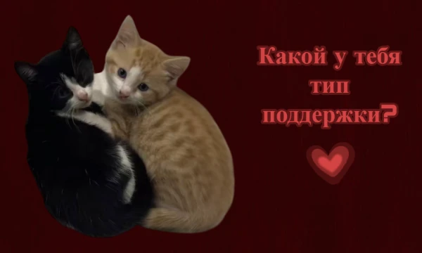 В этом тесте ты сможешь проверить насколько развит твой навык поддержки и в чем он обычно проявляется