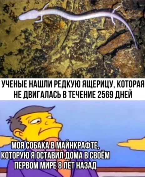 8 × 365 = 2920 (на 351 день больше) 8 × 365 = 2920 (на 351 день больше)