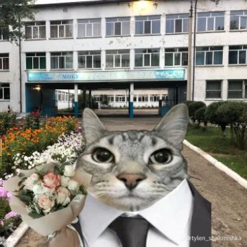 Итак, через две недели снова в школку (УРААА, Я ЗАДРАЛАСЬ ДОМА СИДЕТЬ)  так что погнали с ностальгическим тестом?
