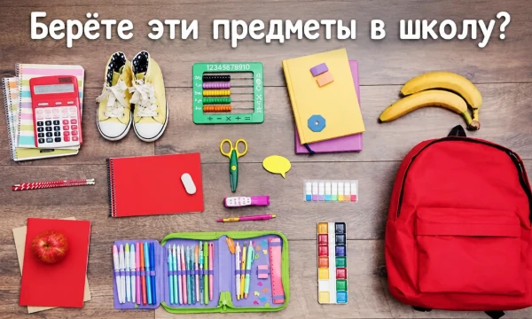 Этот тир-лист просит вас ответить: берёте ли эти предметы в школу или нет. Всё просто. Хорошего прохождения!