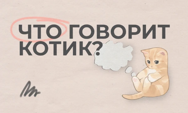 Он придумал и промяукал много разных слов. К сожалению, некоторые буквы в них стали неполными. Попробуйте определить эти слова!
