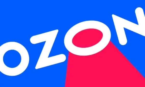 Сегодня вам предлагается выбирать между такими интернет-титанами как ozon, wildberries и всякими нн 