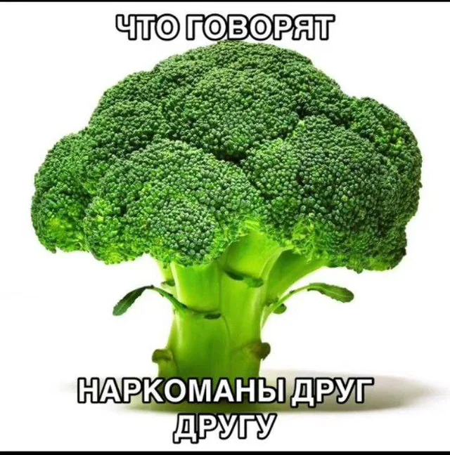 ... ...