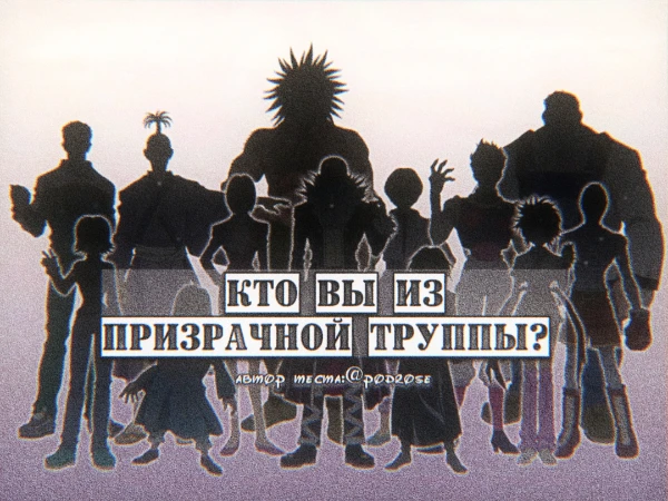 Аниме: хантер х хантер. Это негативная организация, состоящая из 13 участников, которые невероятно сильны. В этом тесте узнаете, на кого вы наиболее похожи из этой труппы(пауков). Без спойлеров.