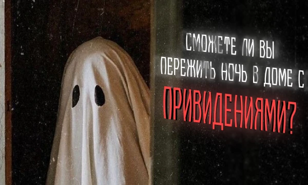 Погас свет. Старинный дом скрипит под натиском ветра, а за углом слышится чей-то шёпот.. Сможете ли вы пережить ночь, полную призраков и загадок? Этот тест проверит вашу интуицию, храбрость и хитрость