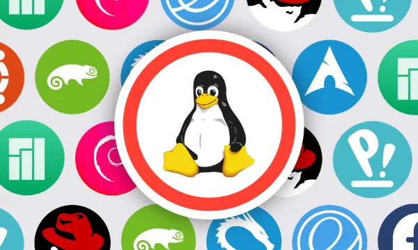 Linux - это бесплатная и гибкая операционная система с открытым кодом. Но из-за этого у него много вариаций (дистрибутивов). Узнайте, какой дистрибутив соответствует вашему уровню и потребностям.