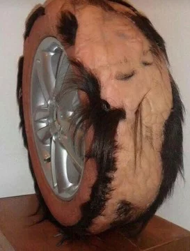 Cursed image