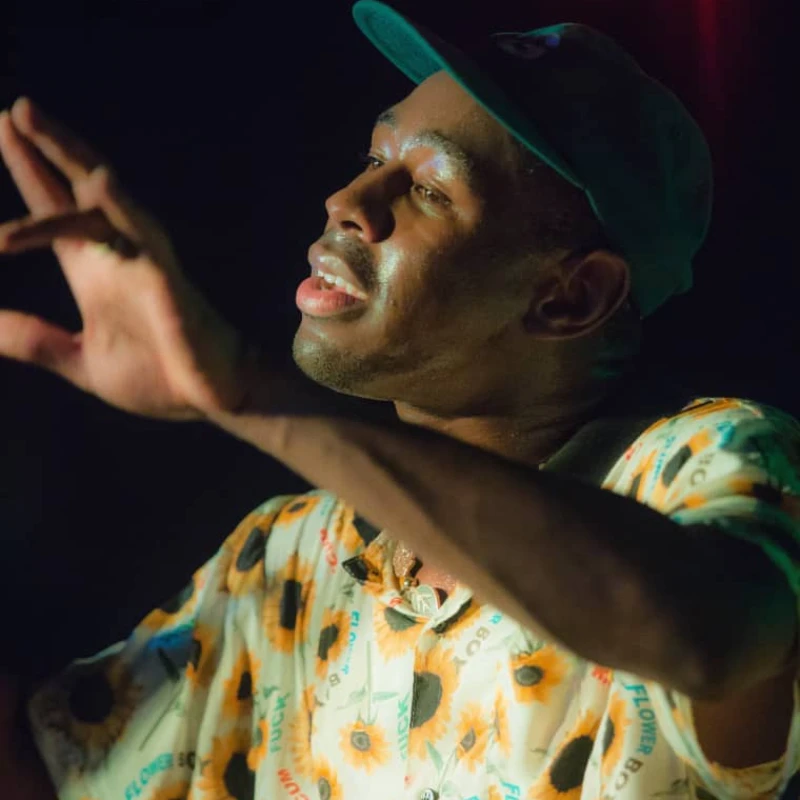 Цветочная Симфония: Как «Flower Boy» стал самым честным альбомом Тайлера, Создателя Цветочная Симфония: Как «Flower Boy» стал самым честным альбомом Тайлера, Создателя