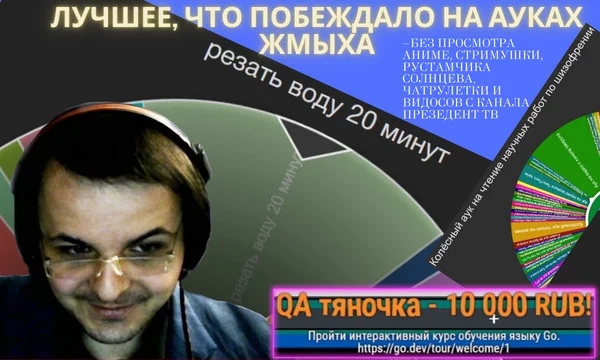 Лучший шизовый или просто интересный контент, выигрывавший на аукционах стримера Жмиля в период с 01/21 по 08/22. В подборку вошёл уникальный контент, не побеждавший на регулярной основе.