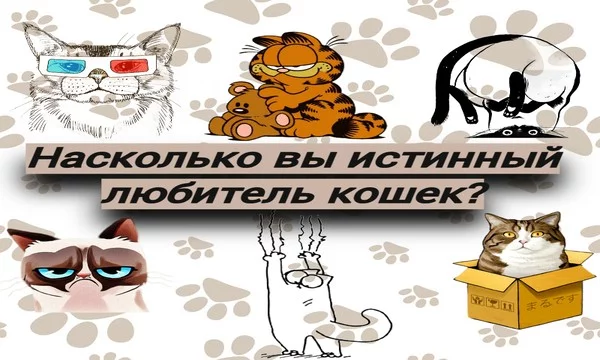 Мяу😸 Ты любишь кошек? Я их просто обожаю, милее существ нет на свете! Если ты любишь их как и я, то этот тест для тебя! Напряги свои мозги и интуицию.