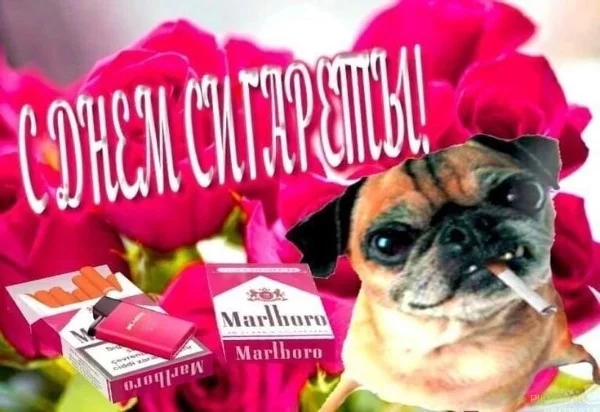 Вам представлены поздравления на все случаи жизни! Во всëм как всегда замешан Мопс. Если вам понравится, то ставите лайки и пишите комментариии, а вообще я пишу это чтобы растянуть текст для награды! 