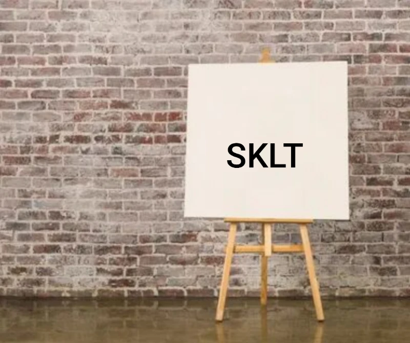 SKLT - анимешник и стример SKLT - анимешник и стример