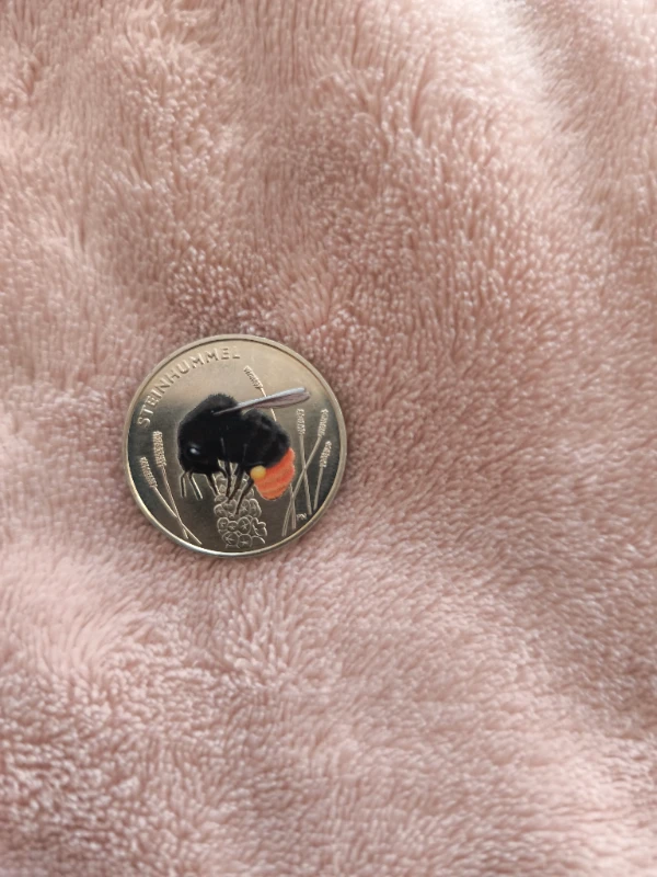 Немецкая пчёлка 🐝🐝. Подарила коллега папы. К сожалению, в магазине ей ничего не оплатишь, зато красивая Немецкая пчёлка 🐝🐝. Подарила коллега папы. К сожалению, в магазине ей ничего не оплатишь, зато красивая